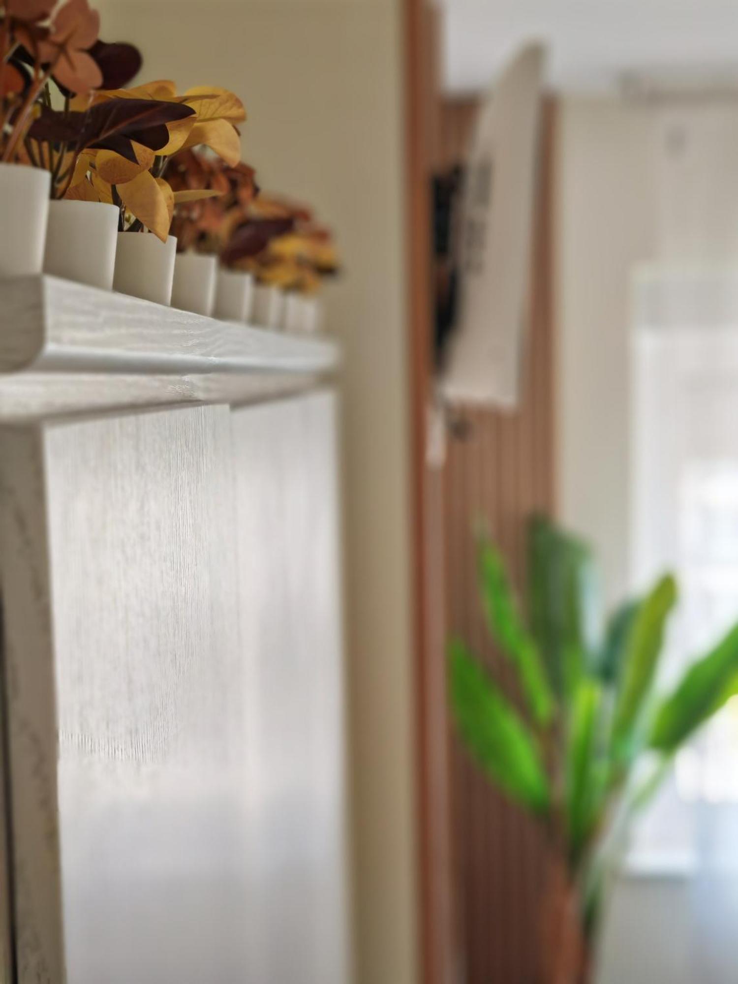 Apartamento Ladevesa Елче Екстериор снимка